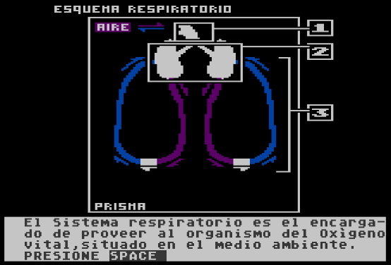 respiratorio.png